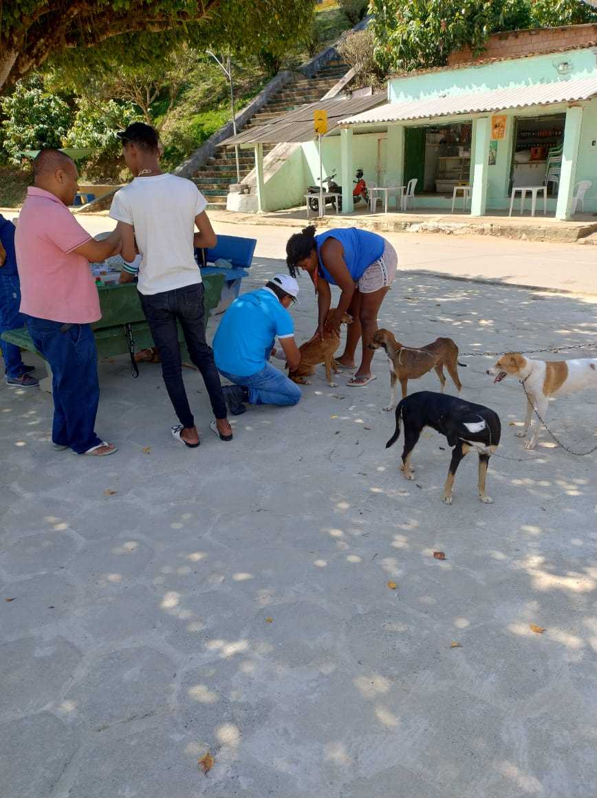 Camacã: Prefeitura realizou vacinação contra a raiva em cães e gatos